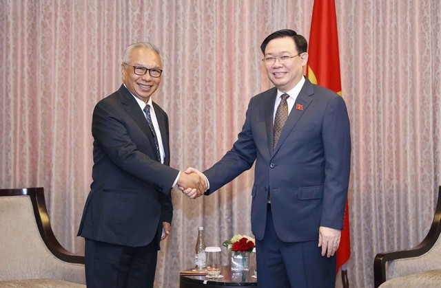 越南国会主席王廷惠和印尼-越南友好协会主席布迪阿尔萨握手。