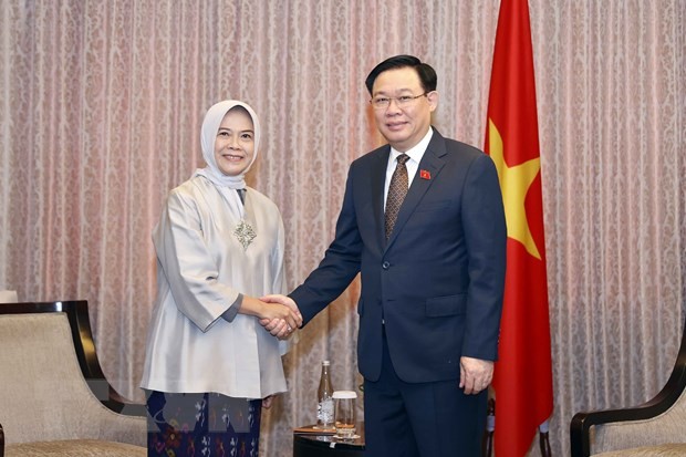越南国会主席王廷惠会见印尼财政稽查署署长。