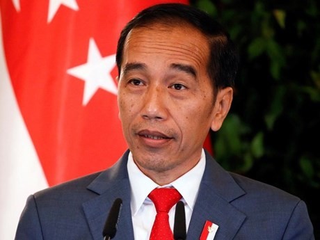 印尼总统提出实现“2045年黄金印尼愿景”的各项战略