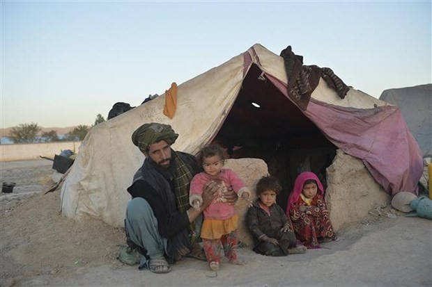 阿富汗巴德吉斯省 Qala-i-Naw 难民营中的人。 （图片来源：法新社/越通社）
