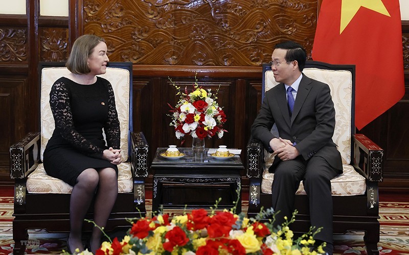 爱尔兰驻越大使迪尔德丽·尼·法伦向越南国家主席武文赏递交国书。