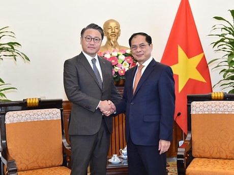 越南外交部长裴青山(右)会见日本长崎县知事大石贤吾。