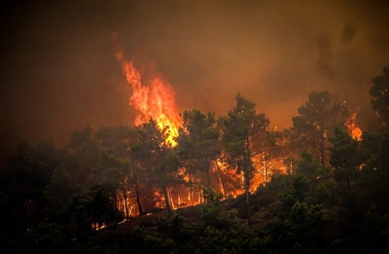 2023年7月22日，希腊罗得岛森林大火冒出浓烟。 （图片来源：路透社）