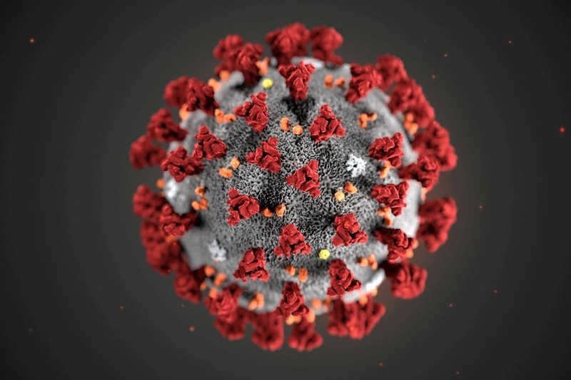 SARS-CoV-2病毒。（图片来源：路透社）