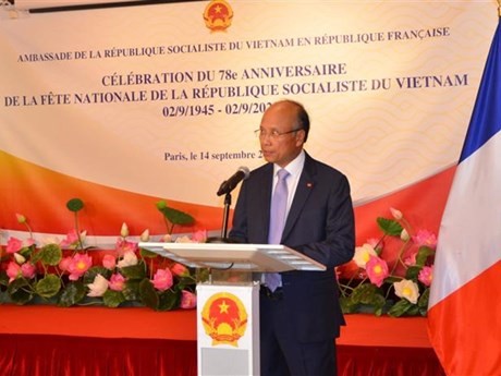 越南驻法国大使丁全胜在招待会上发表讲话。