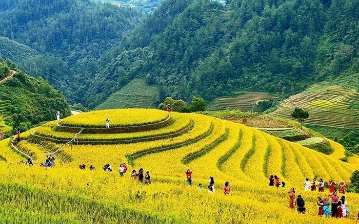 游客们在安沛省穆庚寨县罗盘怎乡探索美丽梯田。（幸黄 摄）
