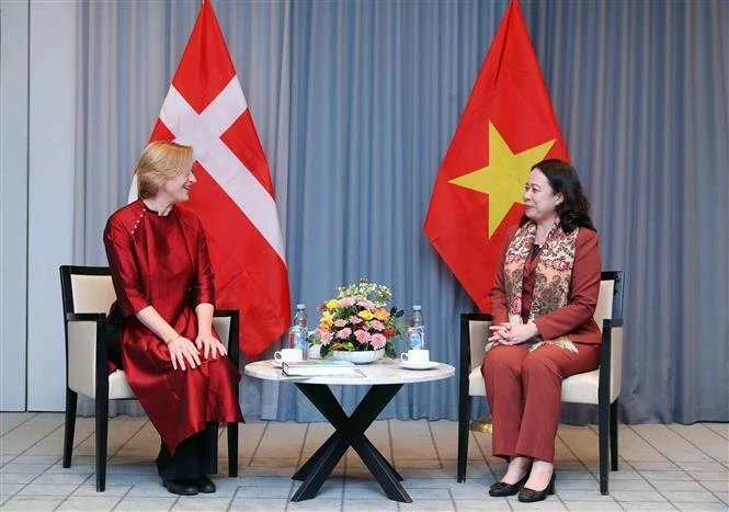 越南国家副主席武氏映春会见丹麦越南友好协会。