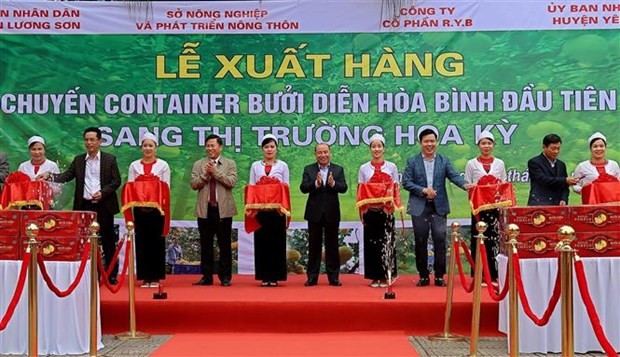 越南和平省梁山县向美国出口的48吨演柚(Diễn)中的第一批16吨发车仪式场景。