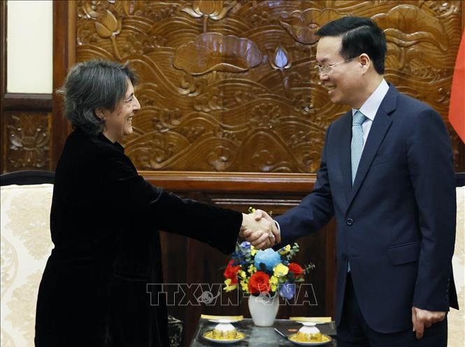 越南国家主席武文赏接受了西班牙驻越大使皮拉尔·门德斯·希门尼斯辞行拜会。