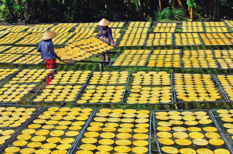 陈文时县陈亥乡干香蕉手工艺村新貌。图片来源：《越南画报》