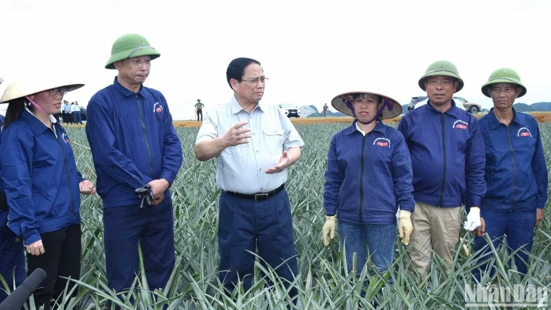 范明正总理亲自慰问宁平省三叠市铜交农场菠萝田里辛勤劳作的工人。