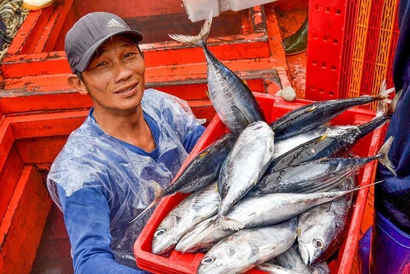 越南对意大利、德国和荷兰三个主要市场的金枪鱼出口额均出现了三位数的飙升。