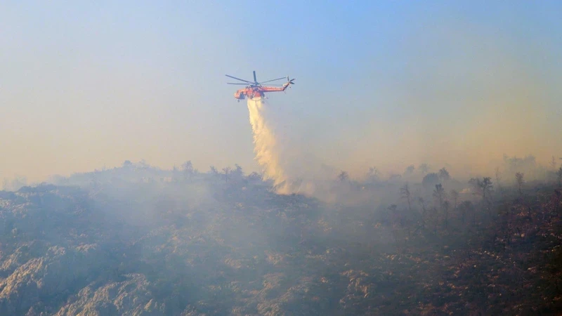 直升机参加希腊雅典附近帕尼萨山的森林消防行动。 （图片来源：路透社）