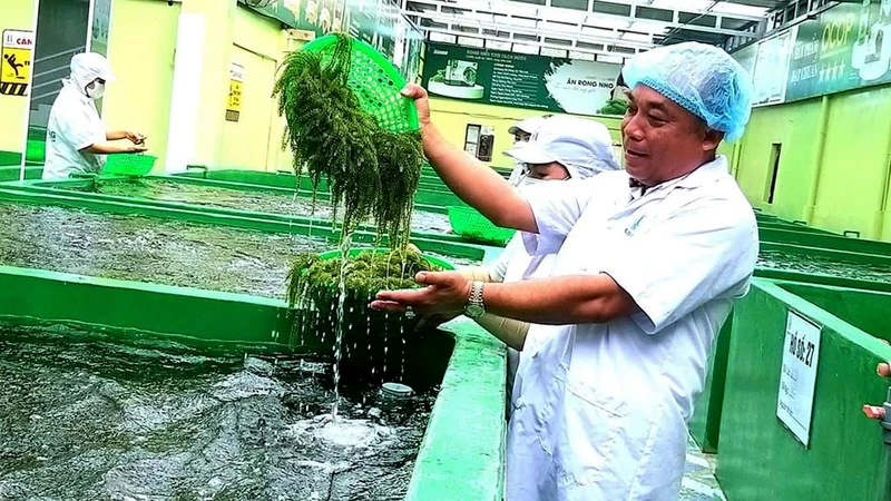 越南海洋药物发展潜力巨大