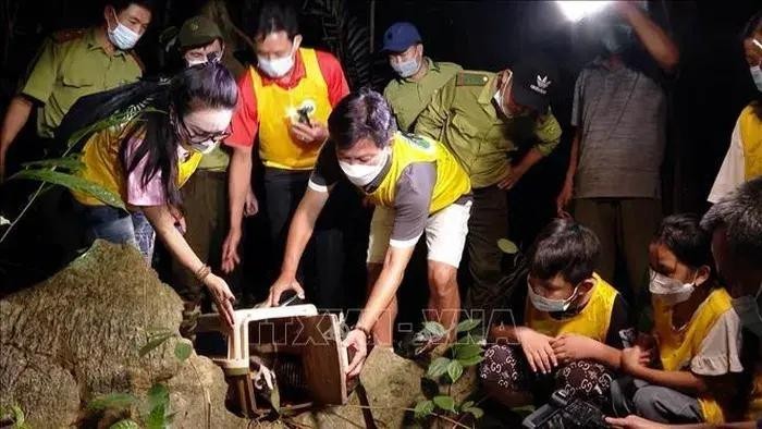 菊芳国家公园旅游路线让游客体验植树、 “把动物带回家”—— 体验动物放归计划，了解珍稀灵长类动物的救助和保护。（图片来源：越通社）