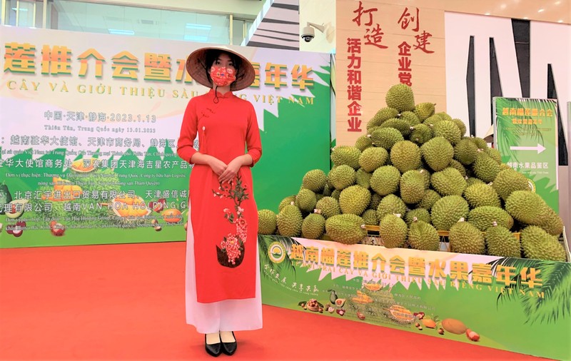 榴莲在天津举行的越南水果节上。（杜有兴 摄）