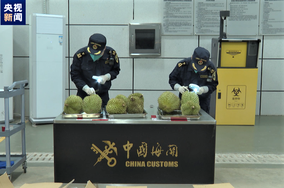 中国海关检查越南榴莲。（图源：央视新闻）