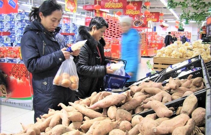 80多家越南企业获准对华出口甘薯