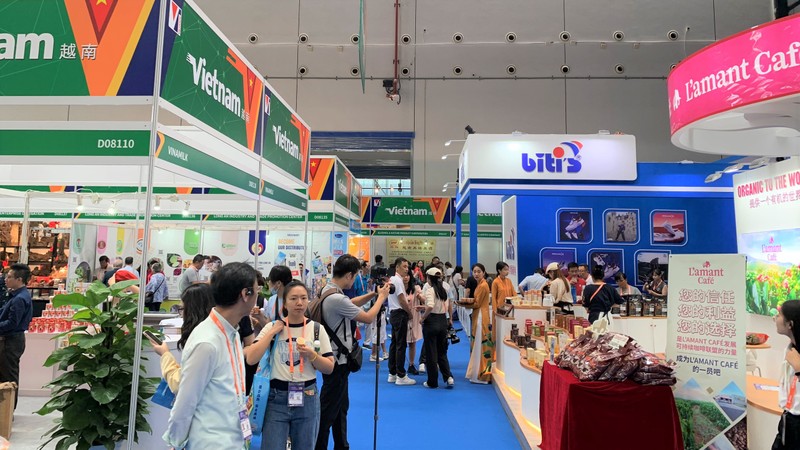 2023年在广西举行的中国—东盟博览会上，越南展区吸引大量观众参加。（杜有兴 摄）