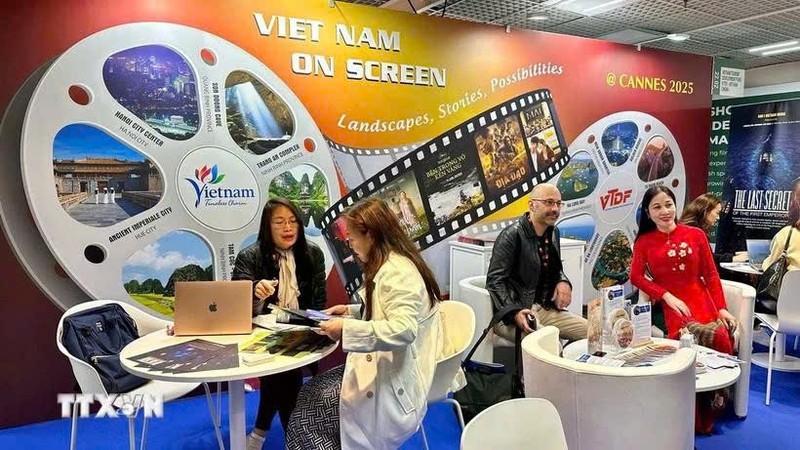 国际代表正在了解越南电影产业。（图片来源：越通社）