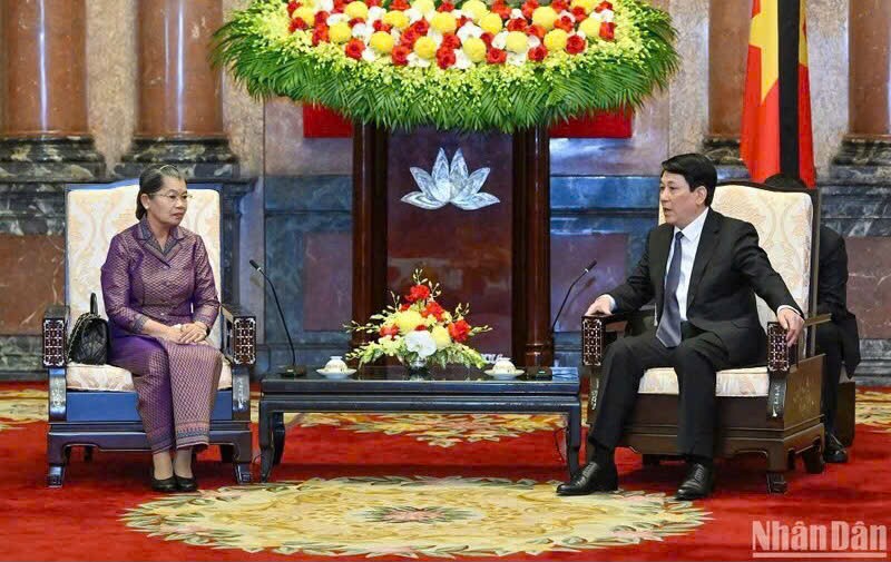 越南国家主席梁强会见柬埔寨人民党副主席梅森安。（图片来源：越通社）