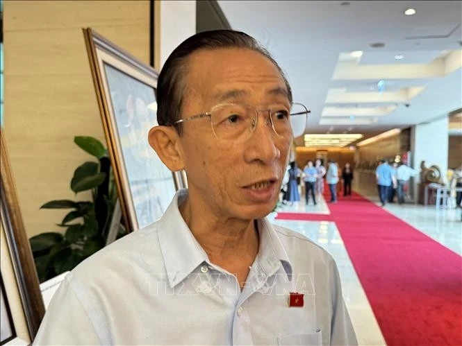胡志明市代表陈黄银。（图片来源：越通社）