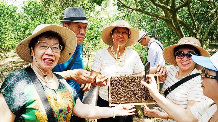游客对蜂巢特别感兴趣。