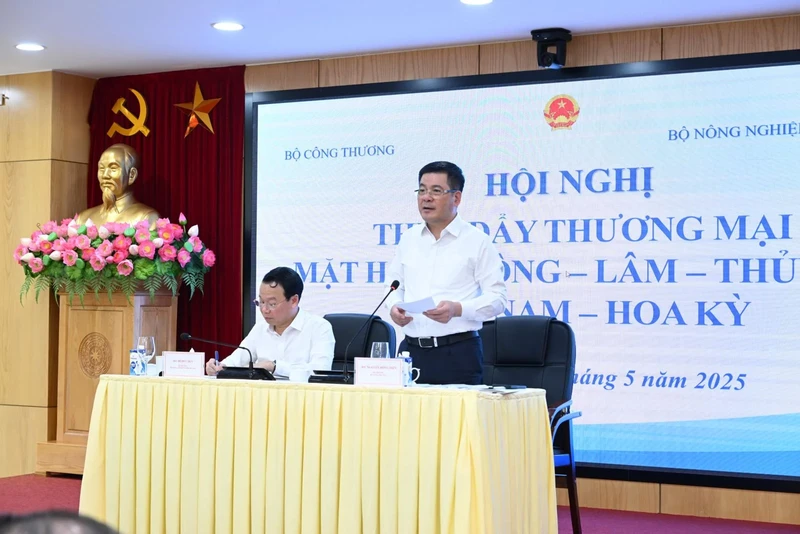 工贸部长阮鸿延发表讲话。