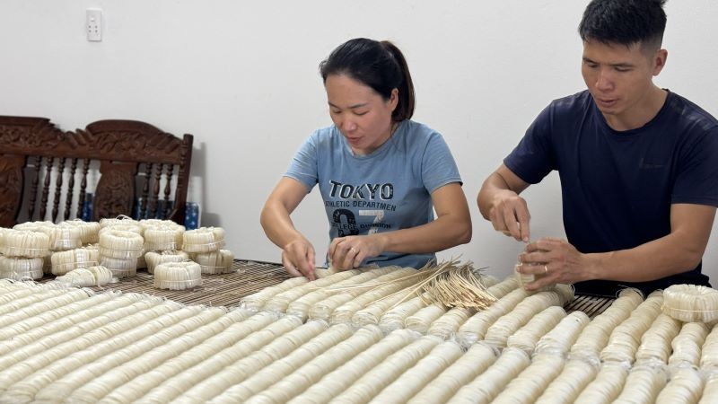 谅山省文关县农民生产清洁农产品。（图片来源：HNV）