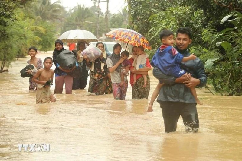 泰国那拉提瓦府遭遇强降雨后被洪水淹没。（图片来源：越通社）