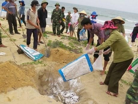 附图：渔民和边防部队收集并掩埋被冲上岸的死鱼。