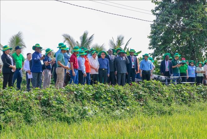 法语国家议会大会代表团参观芹苴市绿色农业发展模式。