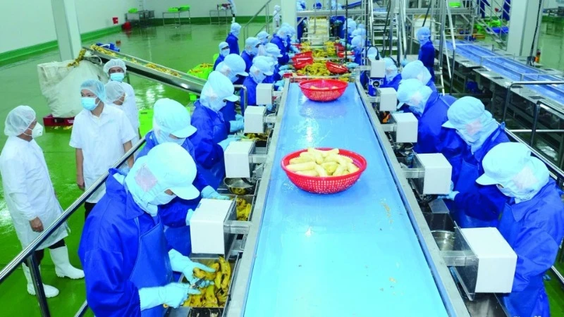 附图：Thabico食品工业股份公司的农产品加工厂。