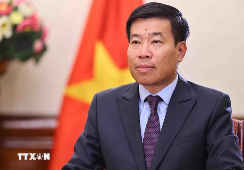 越南外交部副部长阮孟强。（图片来源：越通社）