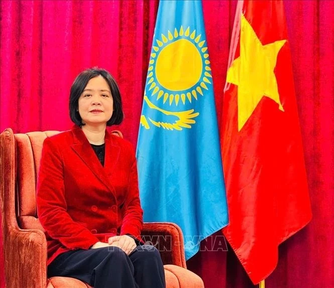 越南驻哈大使范泰如梅在接受记者采访。（图片来源：越通社）