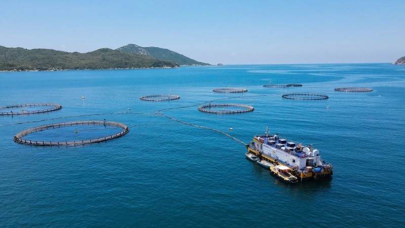 庆和省云峰湾的高科技海水养殖模式。（图片：宝庄摄）