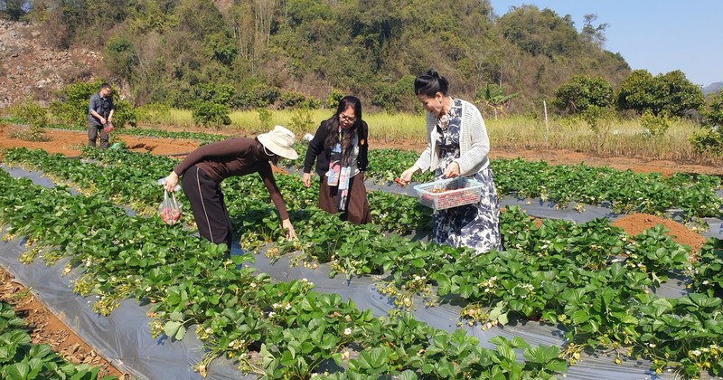 体验式旅游是木州的新亮点