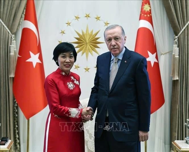 越南驻土耳其新任大使邓氏秋河和土耳其总统雷杰普·塔伊普·埃尔多安。（图片来源：越通社）