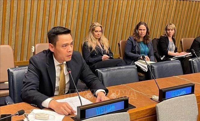 越南常驻联合国代表团团长邓黄江大使在会上发表讲话。（图片来源：越通社）