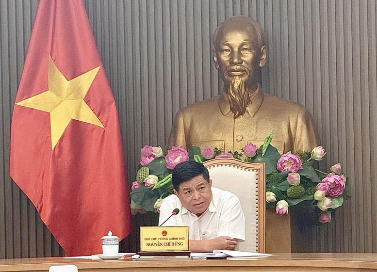 越南政府副总理阮志勇主持召开会议。（图片来源：越通社）