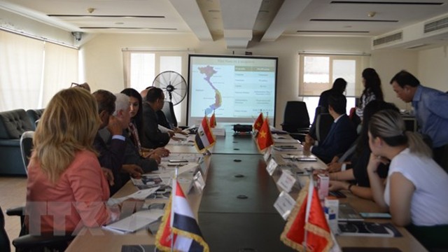 该论坛吸引了多家埃及企业和部分越南企业代表的参与。（图片来源：越通社）