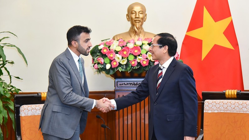 越南外长裴青山会见阿联酋外交与国际合作部部长助理阿卜杜纳赛尔·沙利。