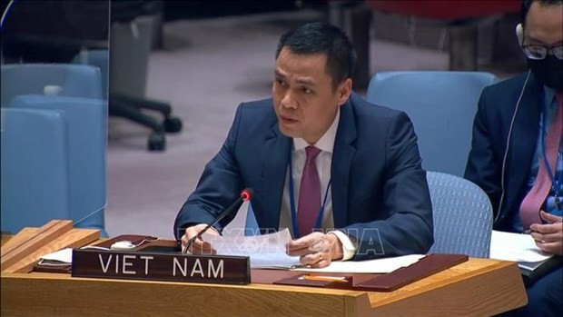 越南驻联合国代表团团长邓黄江大使。（图片来源：越通社）