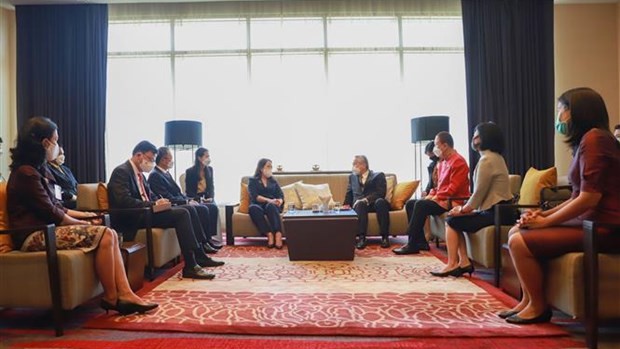 越南国家副主席武氏映春会见泰国政府副总理兼外交部长敦·普拉穆德维奈。（图片来源：越通社）