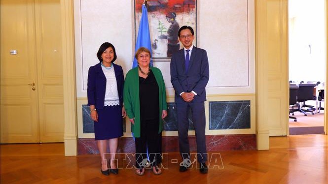 越南外交部部长助理杜雄越（右）造访联合国人权理事会办公厅。