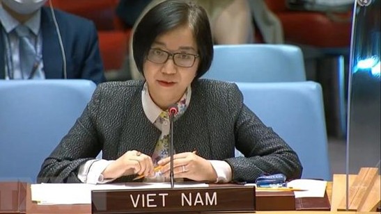 越南常驻联合国代表团临时代办阮芳茶大使。（图片来源：越通社）