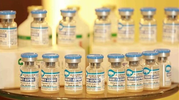 越南研制的NAVET-ASFVAC疫苗。