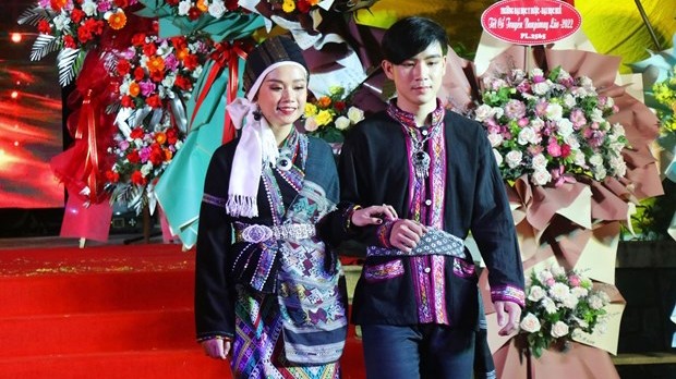 老挝各民族服装表演在承天顺化省举行。