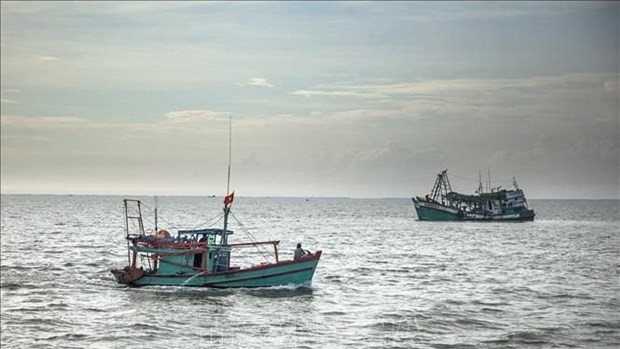 坚江省海域上的远洋渔船。（图片来源：越通社）