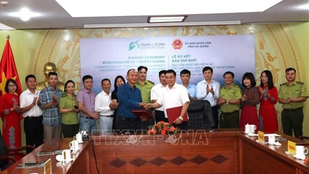 越南河江省人民委员会同野生动植物保护国际（FFI）驻越代表处签署合作谅解备忘录。